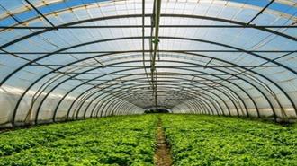 Κήποι Καρδίτσας: Θερμοκήπιο με Φυσικό Αέριο Χρησιμοποιεί τα Καυσαέρια ως Λίπασμα